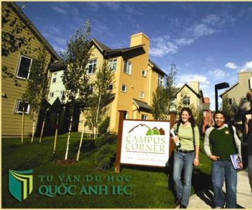 Hội thảo CĐCĐ Green River - Con đường tốt nhất để Du học Mỹ