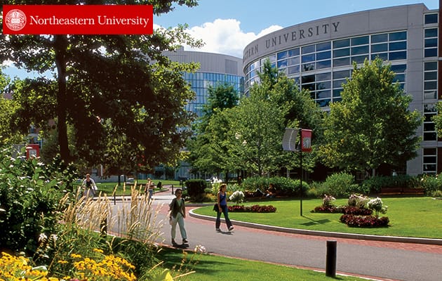 Làm sao để chuyển tiếp năm 3 đại học khi du học Mỹ thành công?