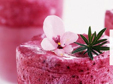 Học bổng hấp dẫn từ Le Cordon Bleu, New Zealand