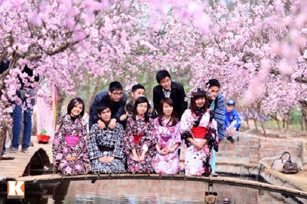 3 loại học bổng du học Nhật Bản phổ biến nhất