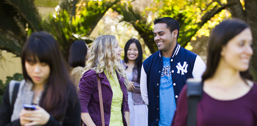 Du Học New Zealand và những kinh nghiệm bổ ích