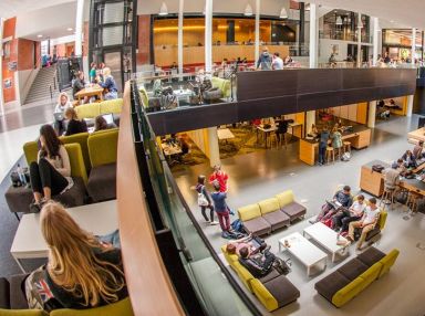  CƠ HỘI HỌC BỔNG 100% HỌC PHÍ TỪ TRƯỜNG ĐẠI HỌC VICTORIA WELLINGTON