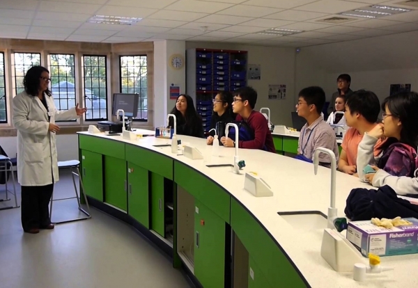 Cơ hội nhận học bổng lên đến 50% tại Anh chỉ có tại các trường sau! 2