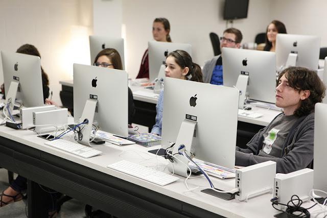 Du học New Zealand nên học ngành gì?