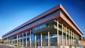 Đại học South Carolina, Mỹ - Điểm đến lý tưởng cho sinh viên Việt Nam