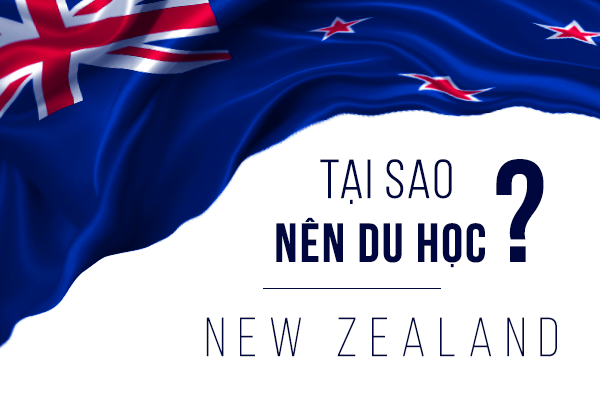 Học MBA tại 7 trường đại học danh tiếng của New Zealand