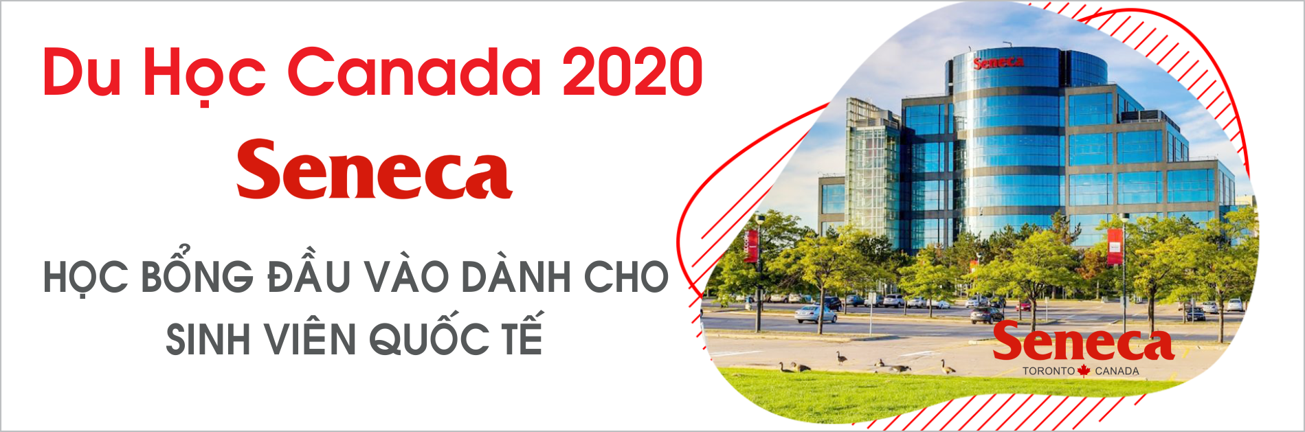 Học bổng đầu vào dành cho sinh viên quốc tế của trường Seneca, Canada