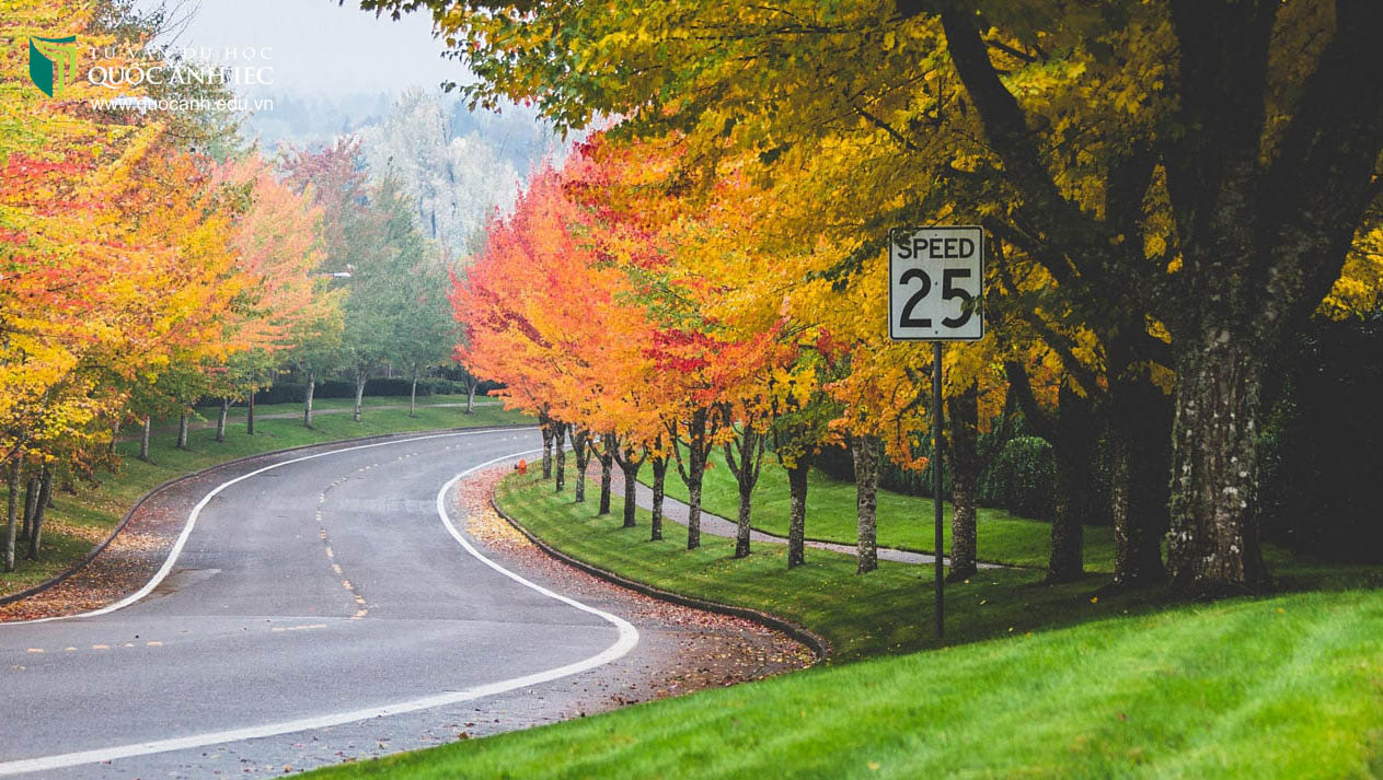 oregon state university