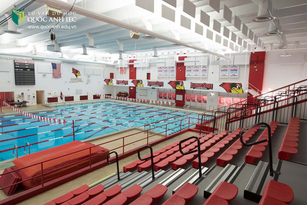 Hồ bơi phục vụ cho giải trí và học tập của trường