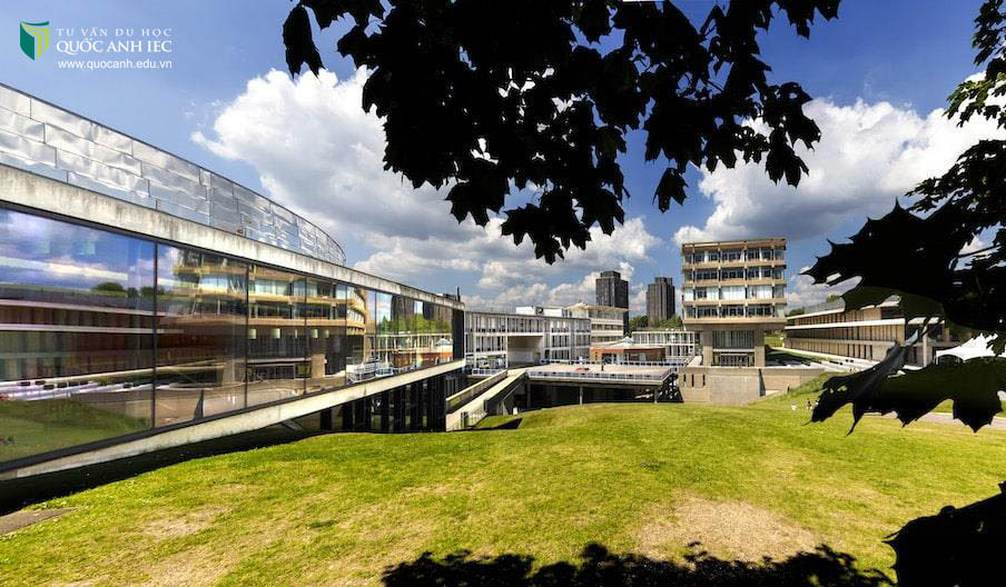 Kaplan International Pathways