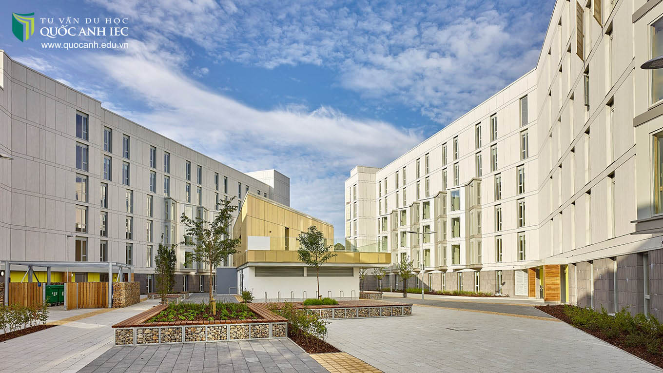 university of east anglia