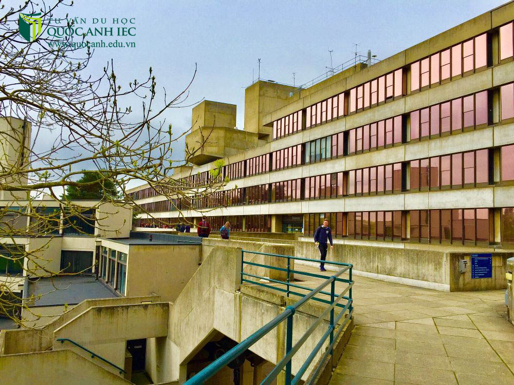 University of East Anglia