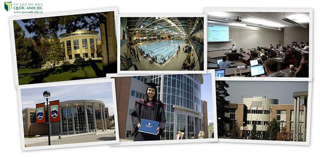 Trường đại học công lập Thompson Rivers (TRU) 2