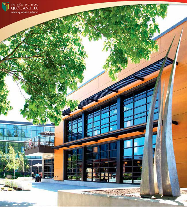 Du học Mỹ trường Everett 