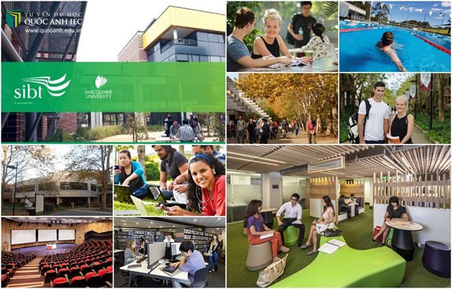 Sydney Institute Of Business And Technology – SIBT