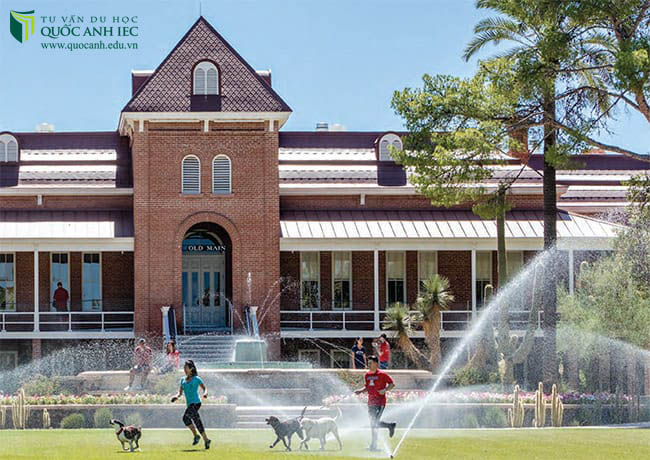 Trường đại học University of Arizona