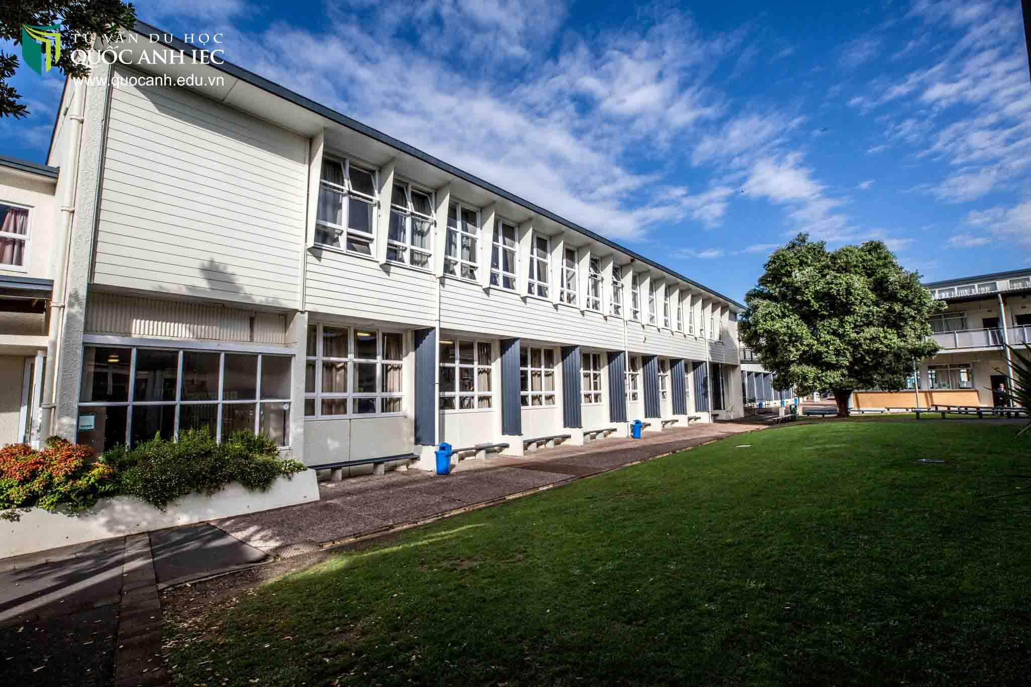 mount roskill grammar school
