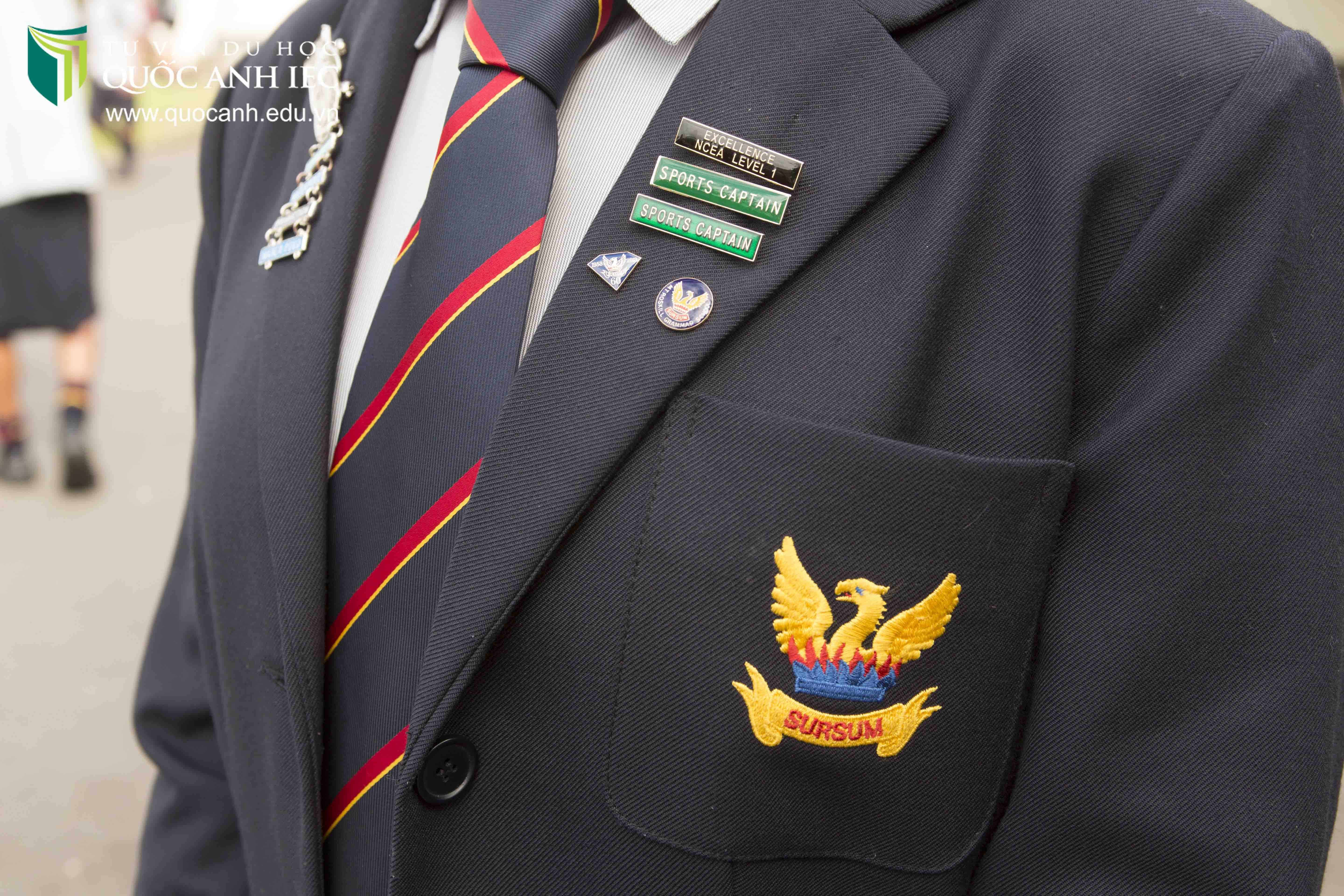 mount roskill grammar school