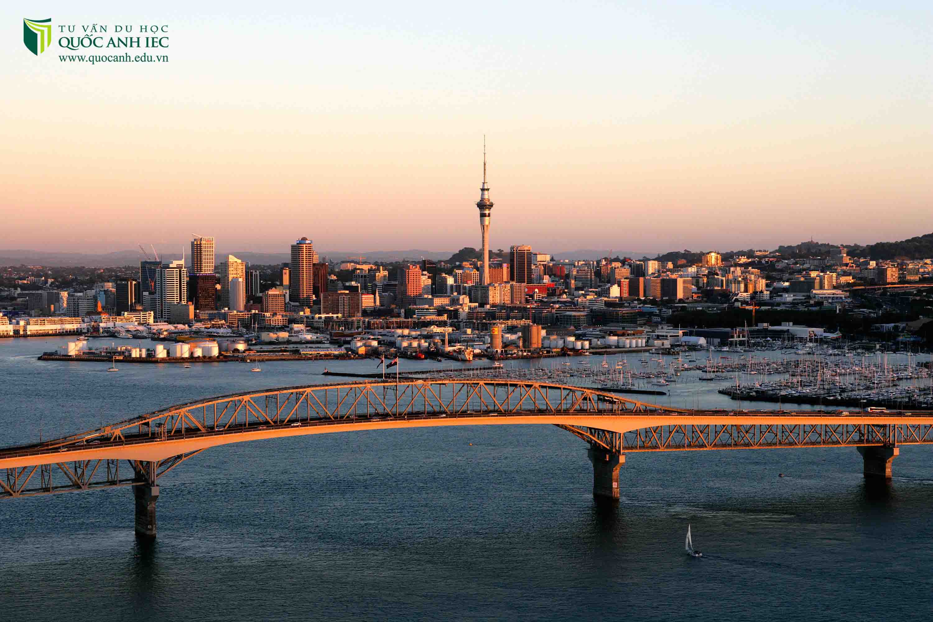 mount roskill grammar school