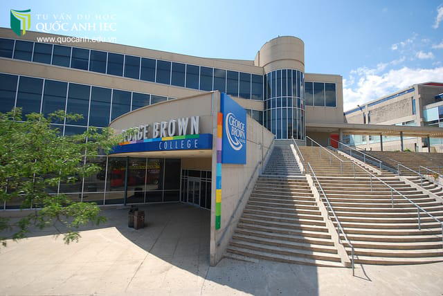 Trường cao đẳng George Brown College - Du học Canada hệ Cao Đẳng