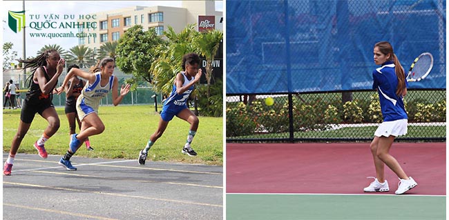 Các câu lạc bộ và hoạt động Divine Savior Academy