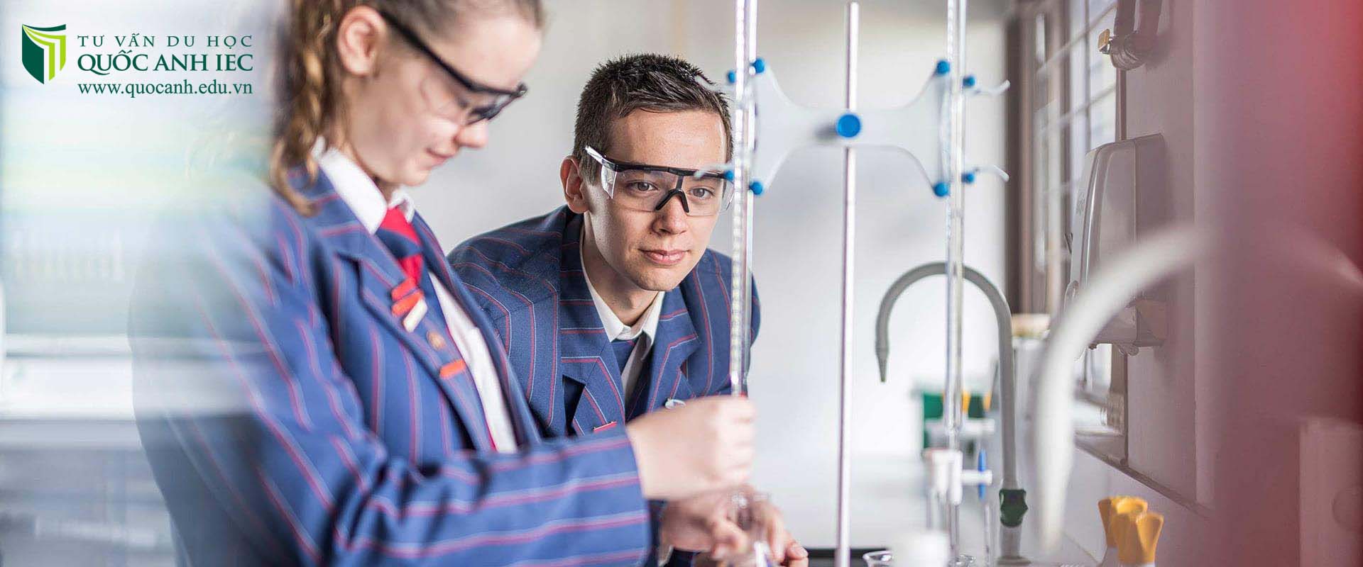 Academic Colleges Group (ACG) 