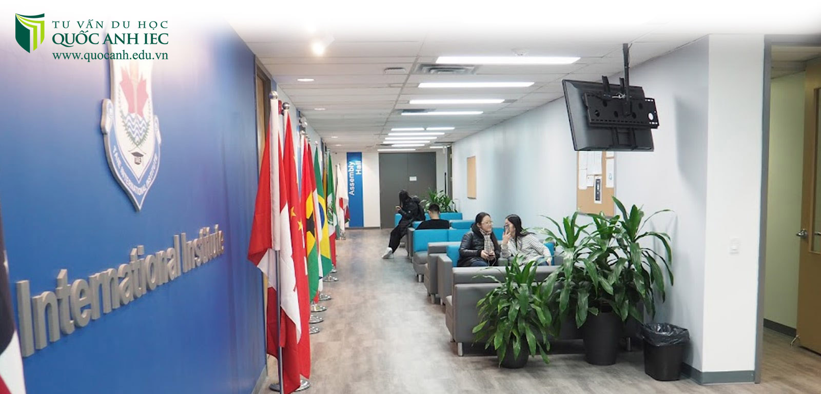 TAIE International Institute