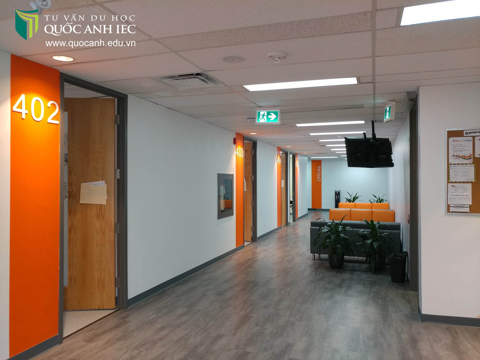 TAIE International Institute