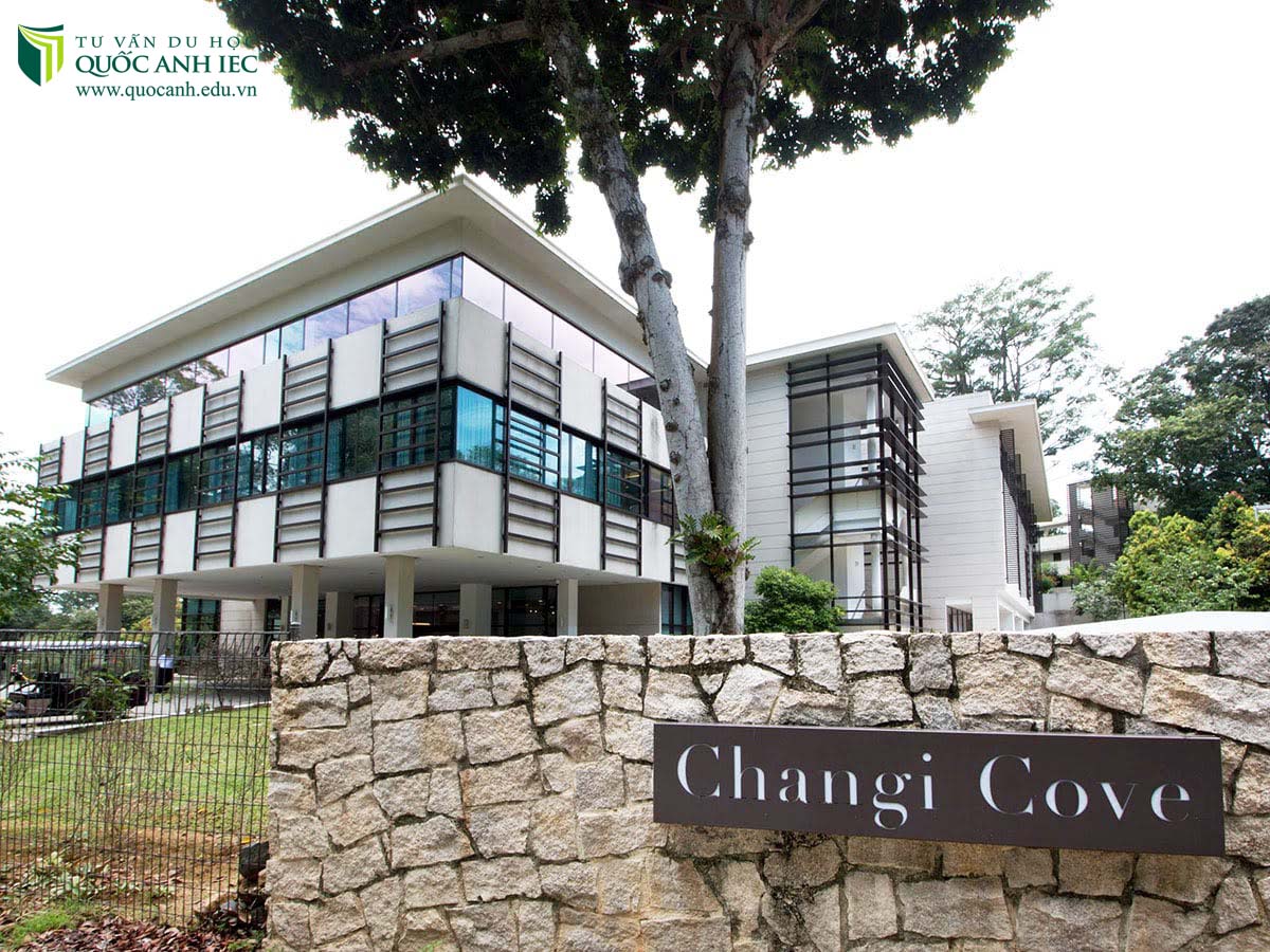 Du học Tết Singapore