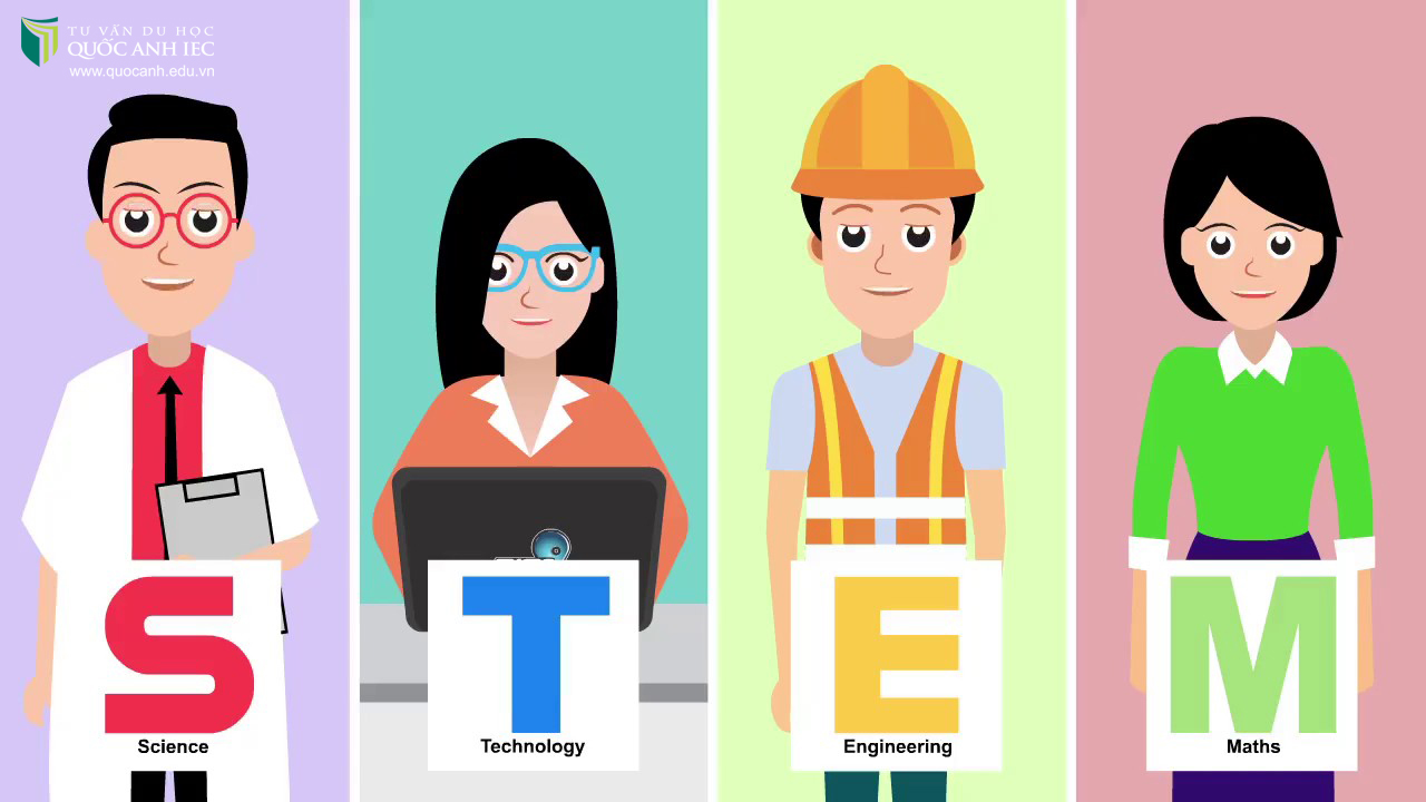 ngành stem