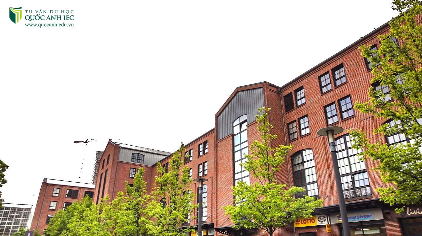 Berlin School of Business and Innovation (BSBI) 