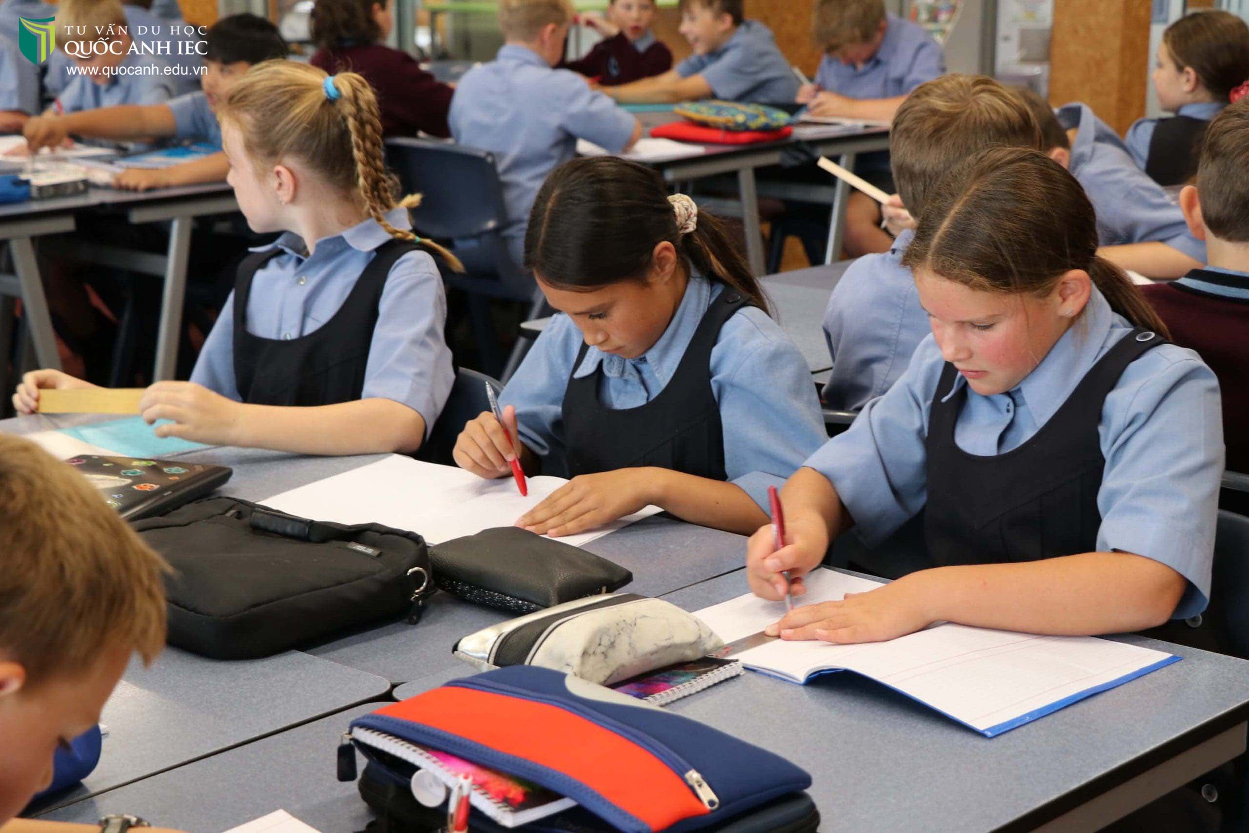 Darfield High School