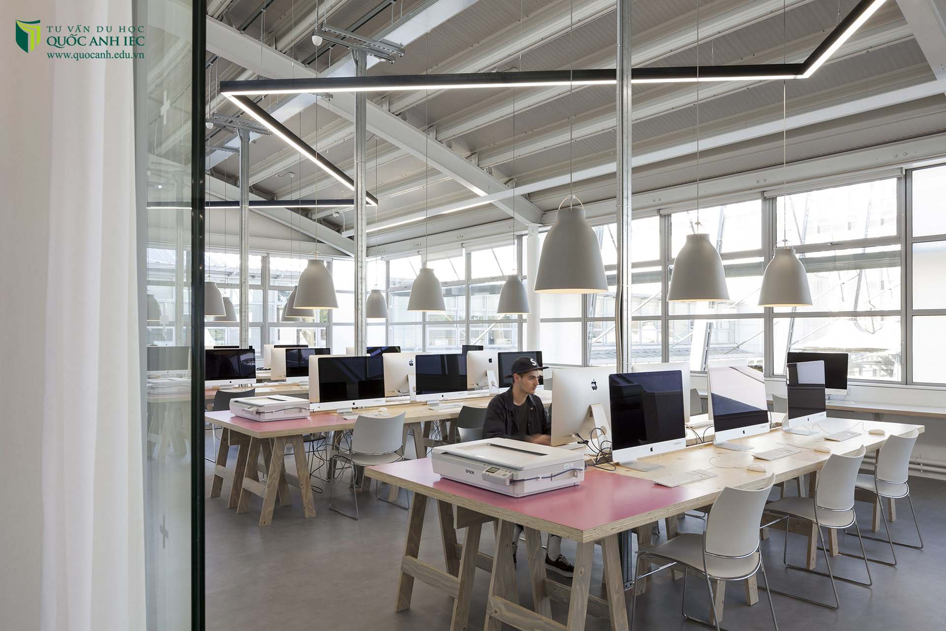 University of Westminster 