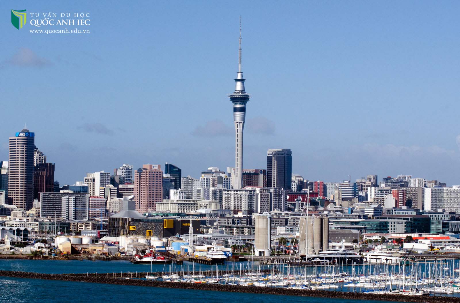 Botany Down, khu vực giàu có bậc nhất của phía Đông Auckland.