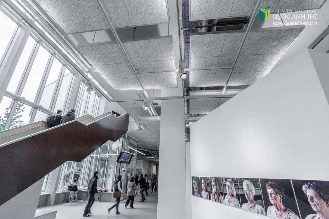 University of Porthsmouth