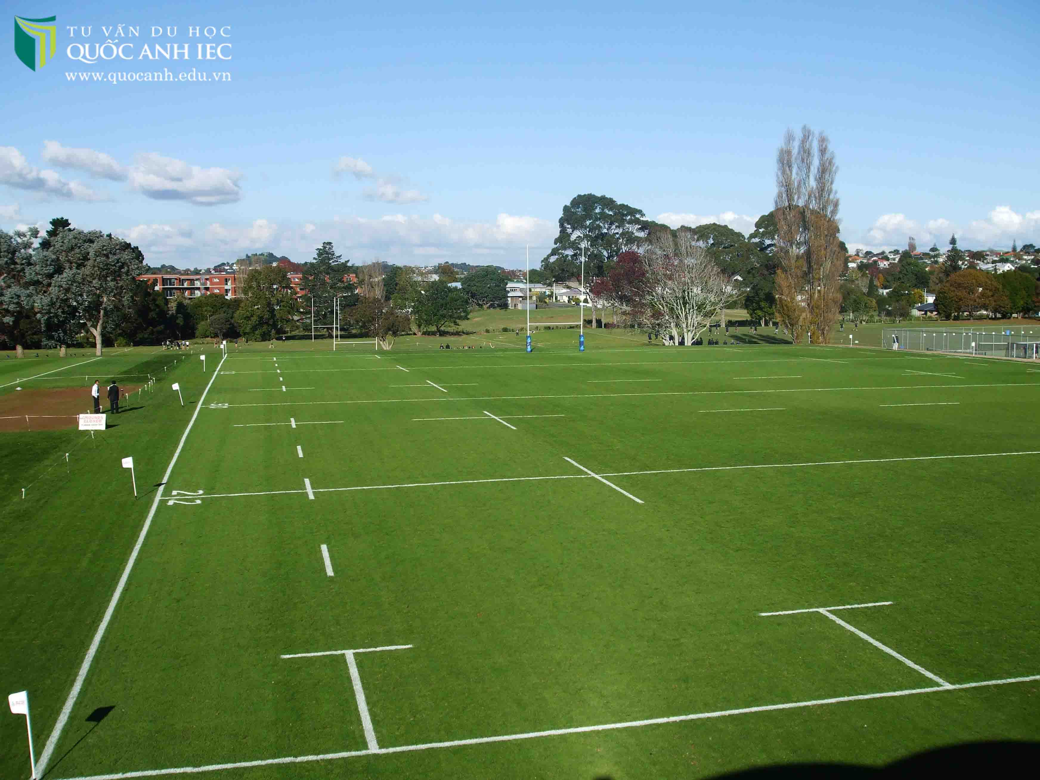 sân bóng đá của trường