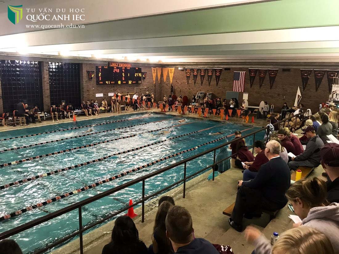 Trường chuyên đào tạo STEAM