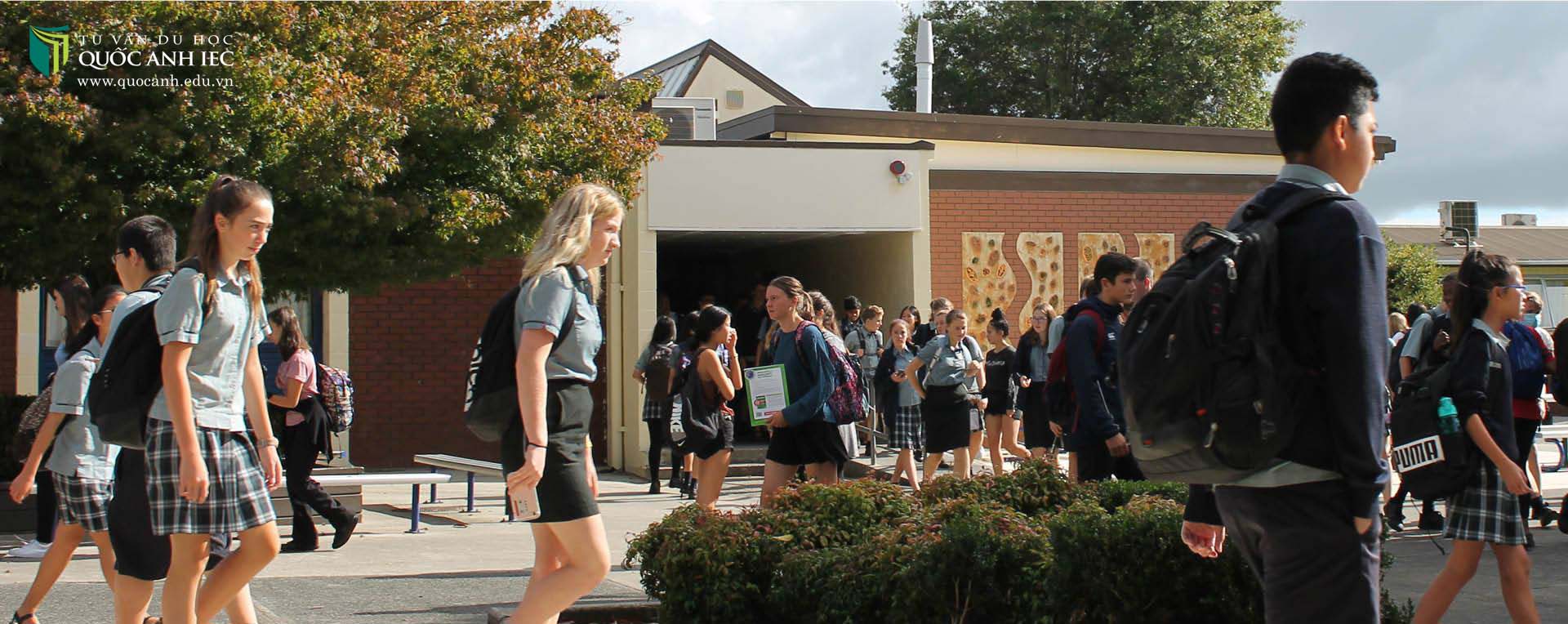 hillcrest-high-school