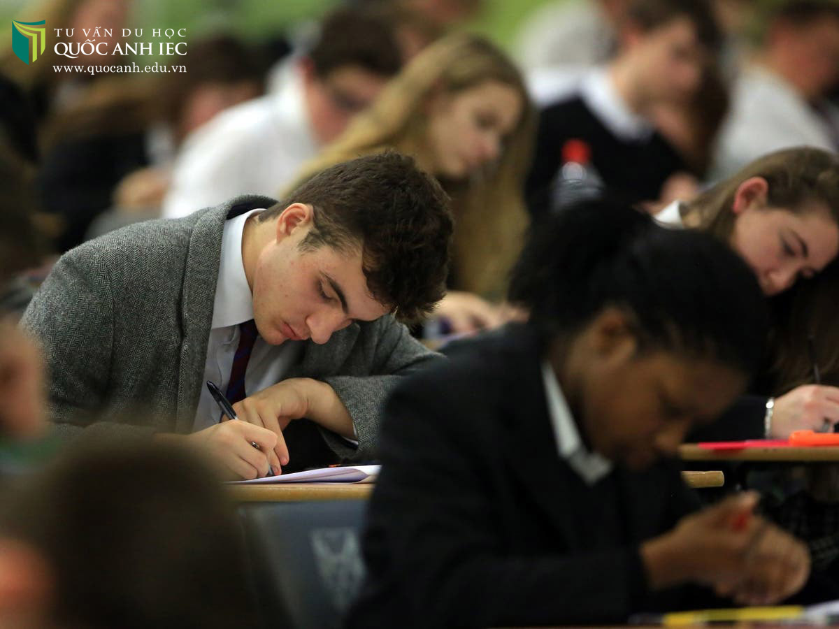 GCSE là gì