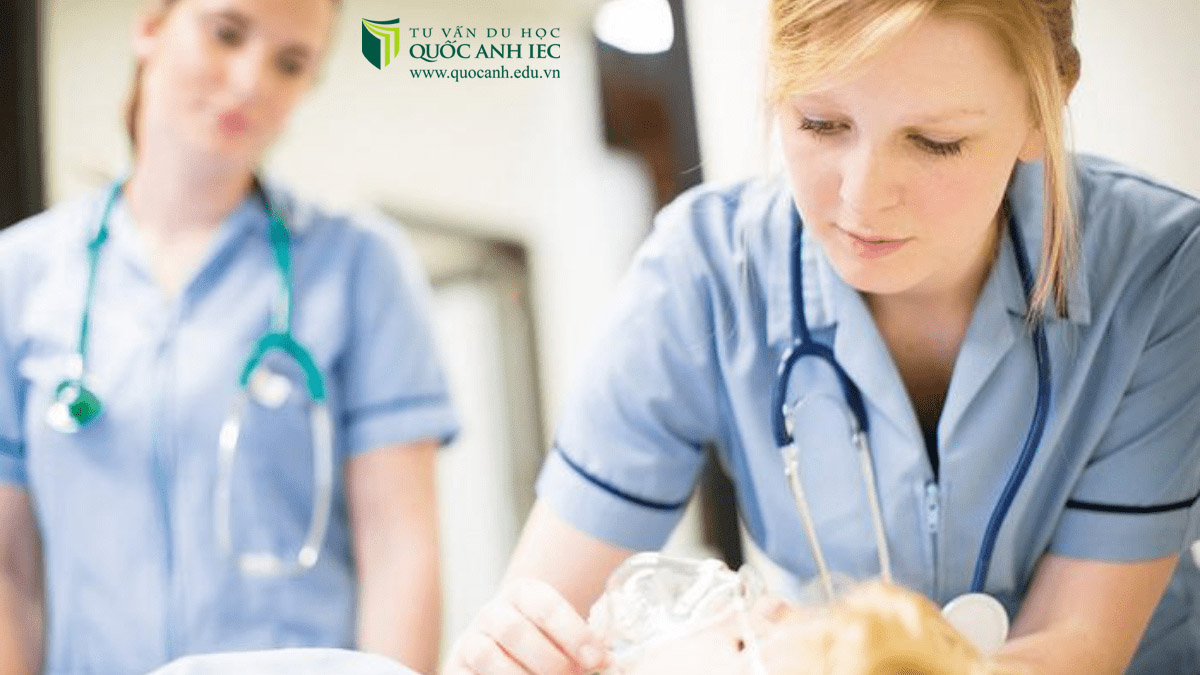 ngành điều dưỡng