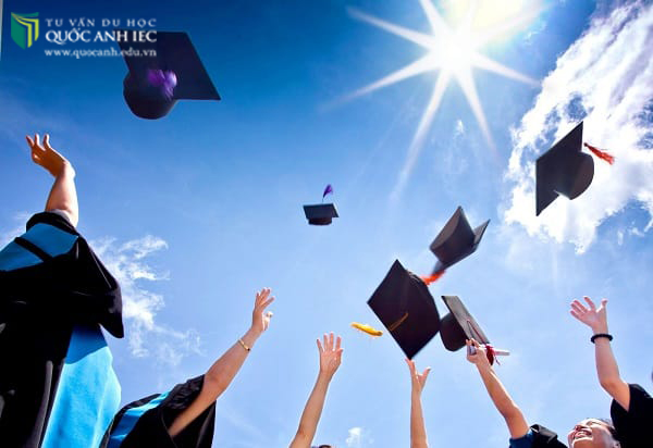 Quốc Anh IEC có quan hệ đặc biệt nào với các trường học khác không?