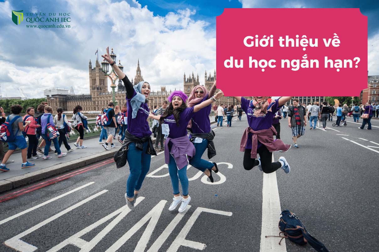 Du học ngắn hạn