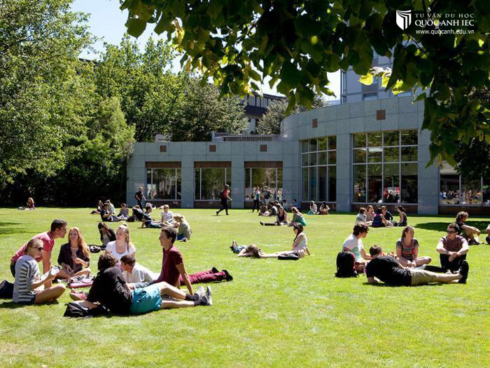 Đại học Canterbury