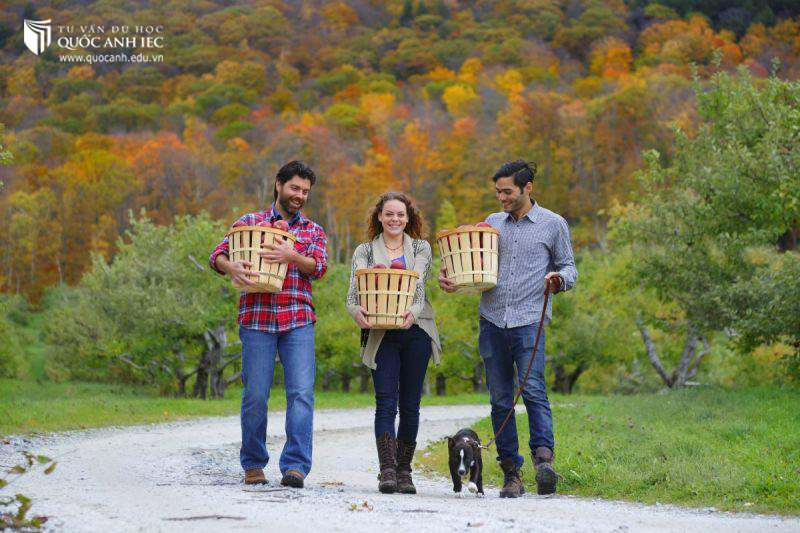 Con người New Zealand thân thiện, mến khách