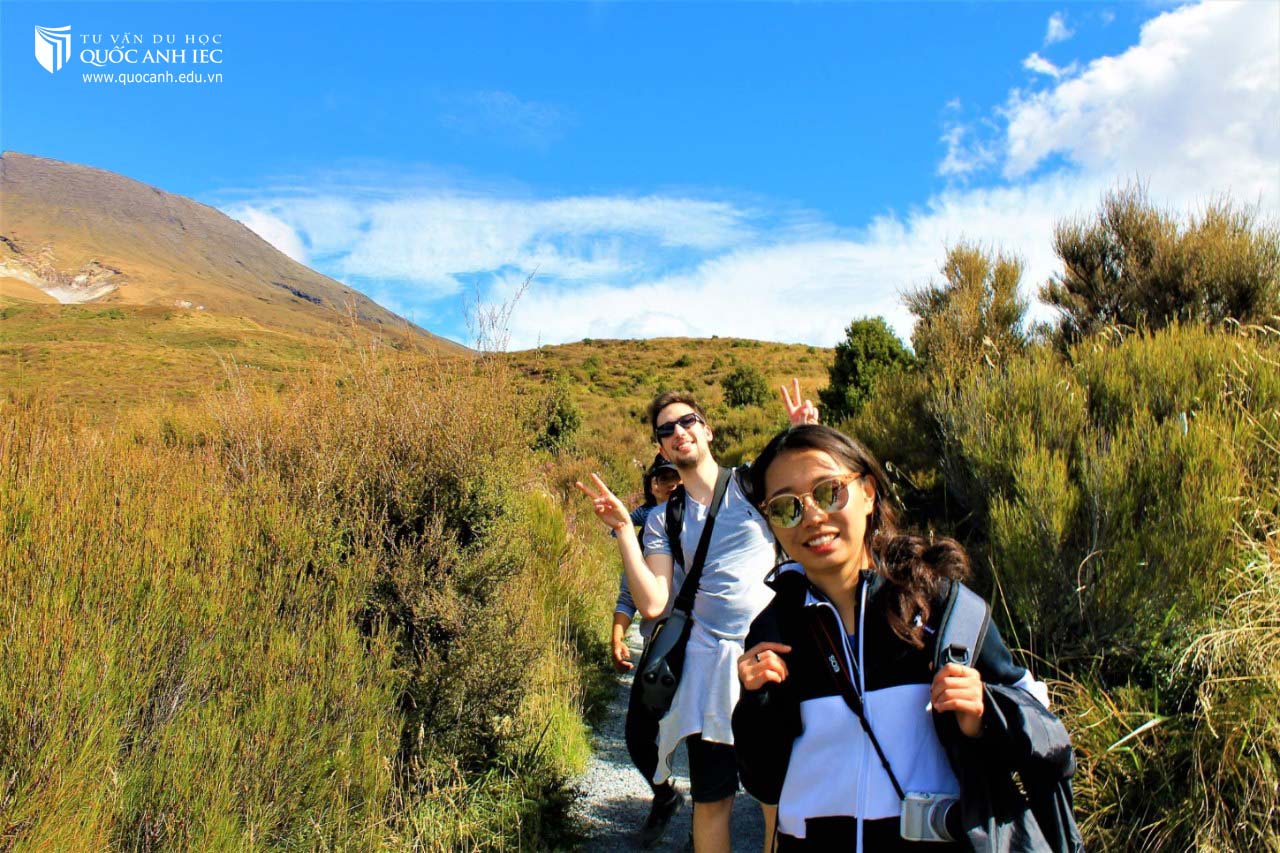 Học bổng chính phủ New Zealand