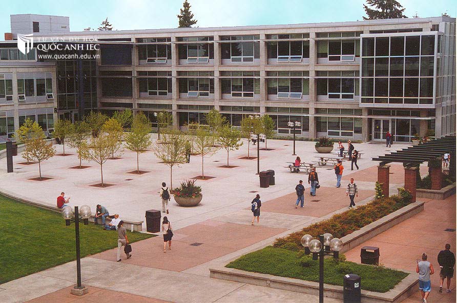 Vì sao sinh viên chọn chương trình học cao đẳng cộng đồng Mỹ?