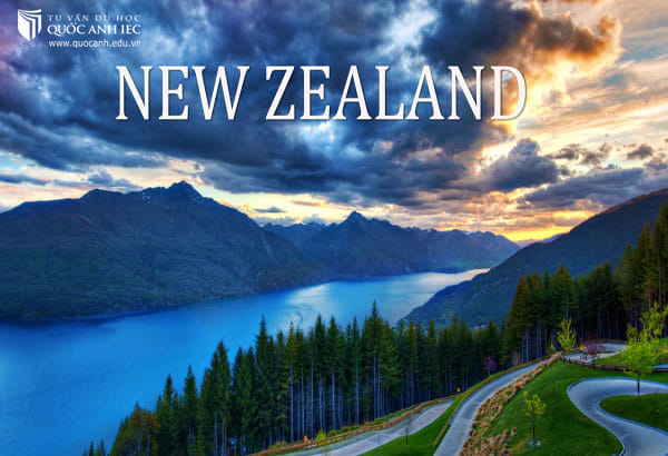 Cách săn học bổng du học New Zealand và những thông tin bổ ích 1