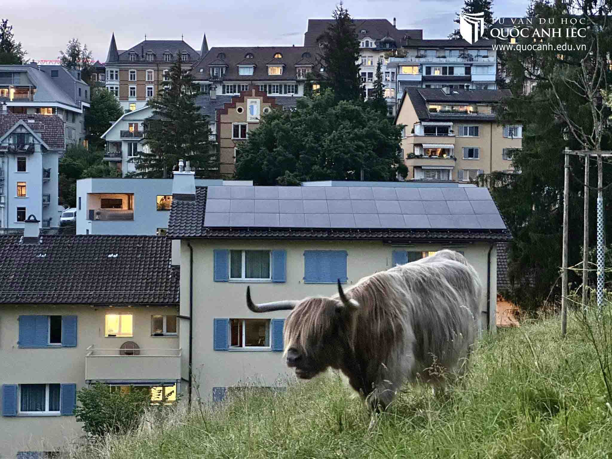 Famtrip du học Thuỵ Sĩ