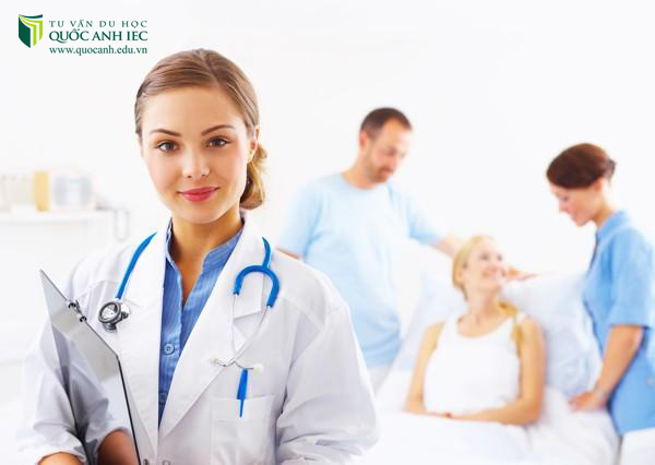 Mỗi trường ở mỗi quốc gia sẽ có một thế mạnh đào tạo ngành nghề khác nhau