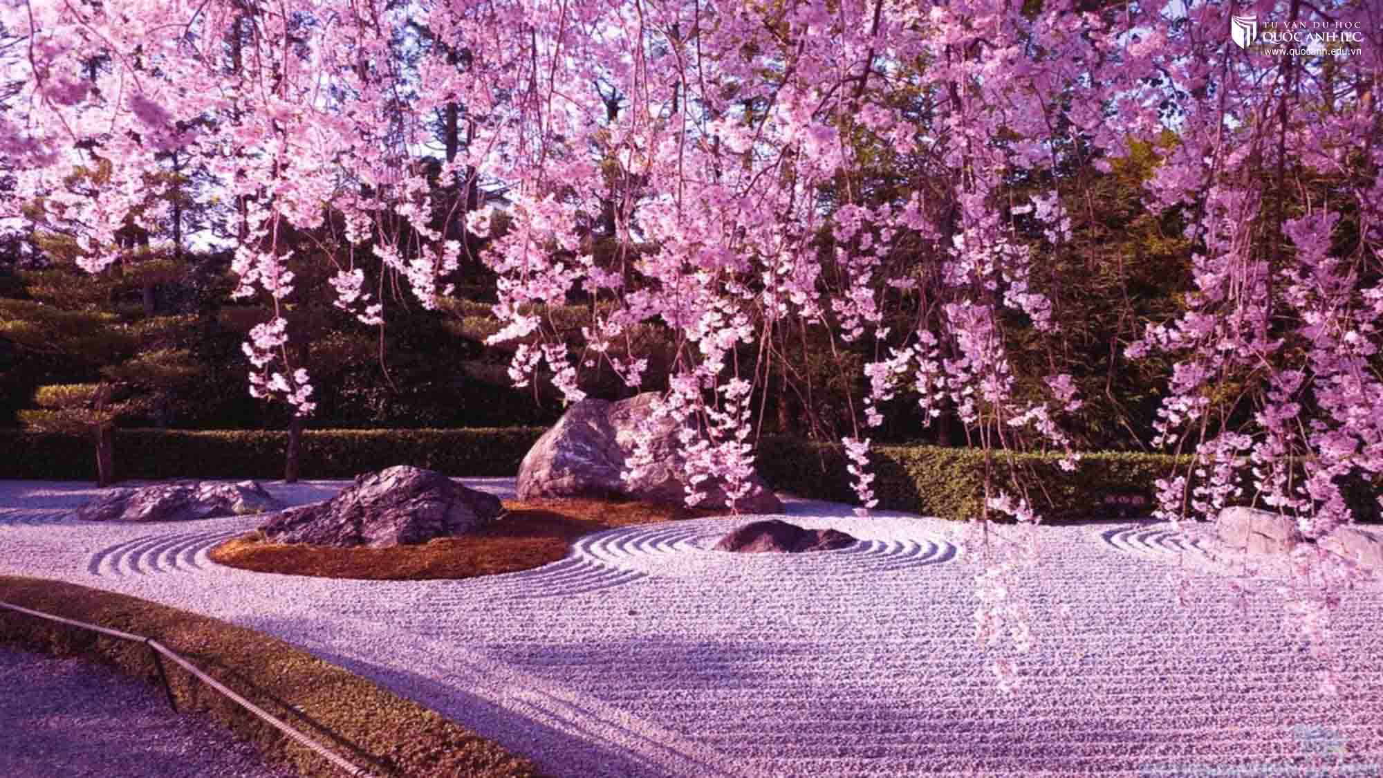 Du học ở quốc gia bạn yêu thích sẽ giúp bạn bớt cảm giác cô đơn khi xa nhà